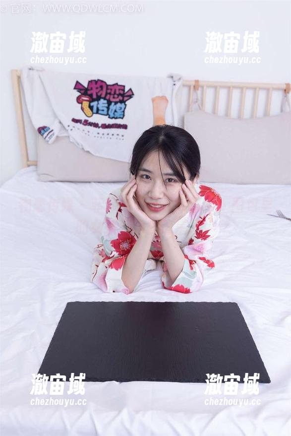 物恋传媒 - 菲菲的无圣光大冒险：图包里的女孩们跑去追星了！