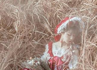 这是阿包也是兔娘的魔法，贞德兔女郎写真让人忍不住多看几遍！